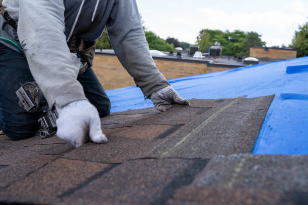 Best Roof Insulation Installation  in Buckeystown, MD