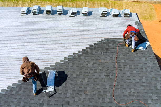 Best Roof Coating and Sealing  in Buckeystown, MD